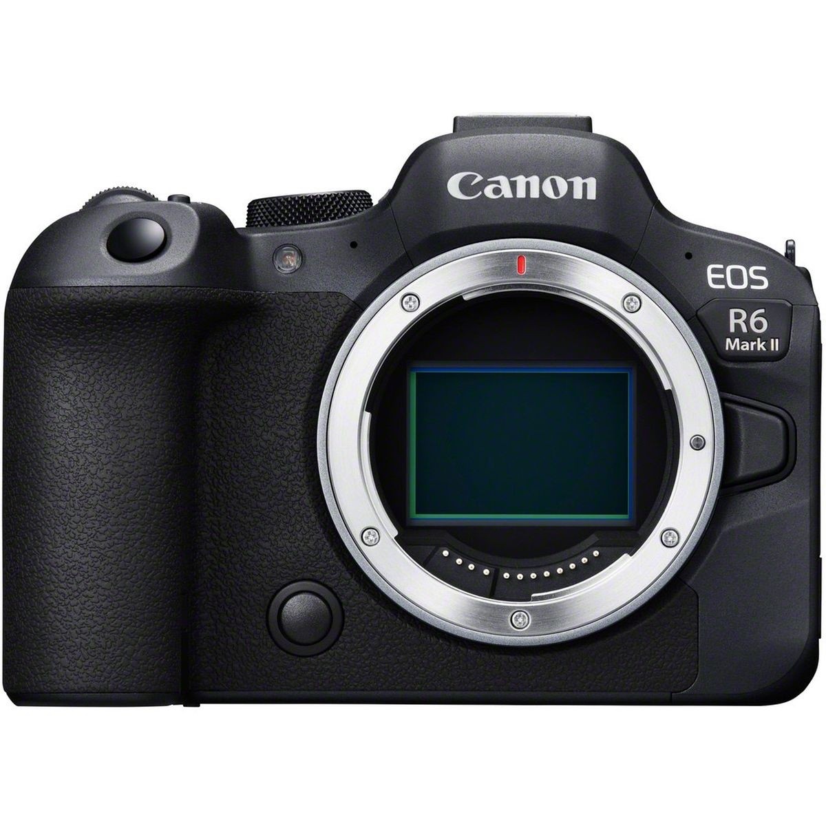 Canon EOS R6 MkII + RF 24-105mm f/4-7.1 IS STM 