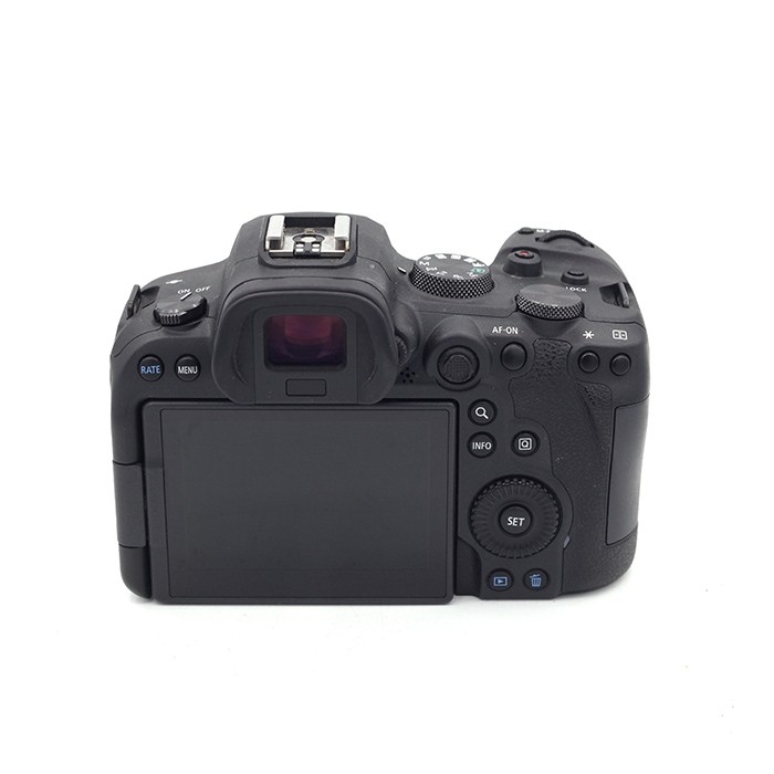 Canon EOS R6 Body occasion (sn: 393022002769)