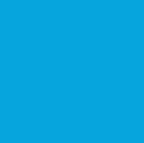 Savage Achtergrond Rol Blue Jay 1.38m x 11m