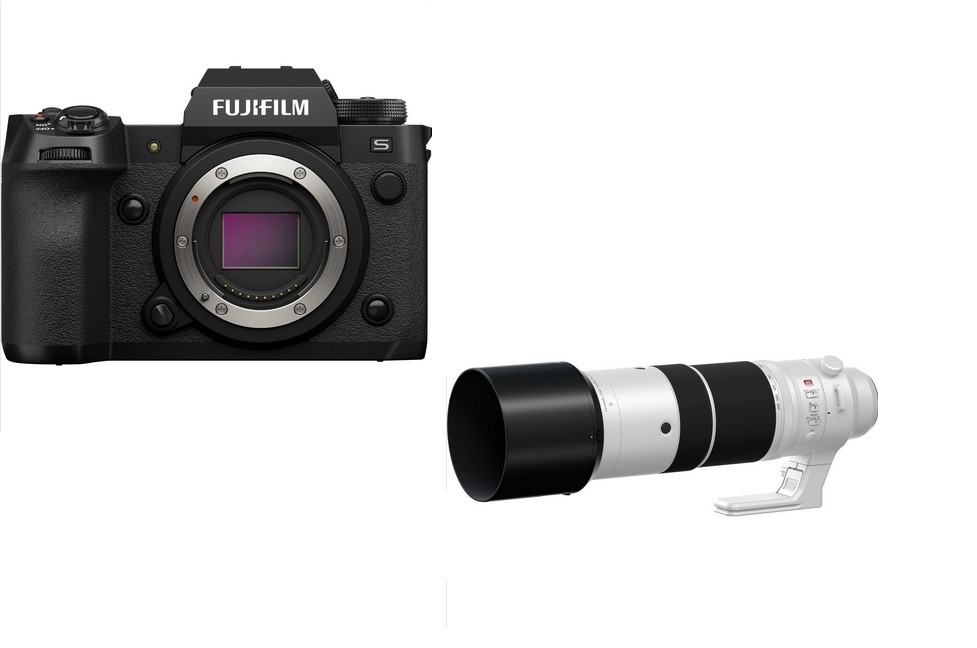 FUJIFILM X-H2s + Fujifilm XF150-600mm f/5.6-8 R LM OIS WR