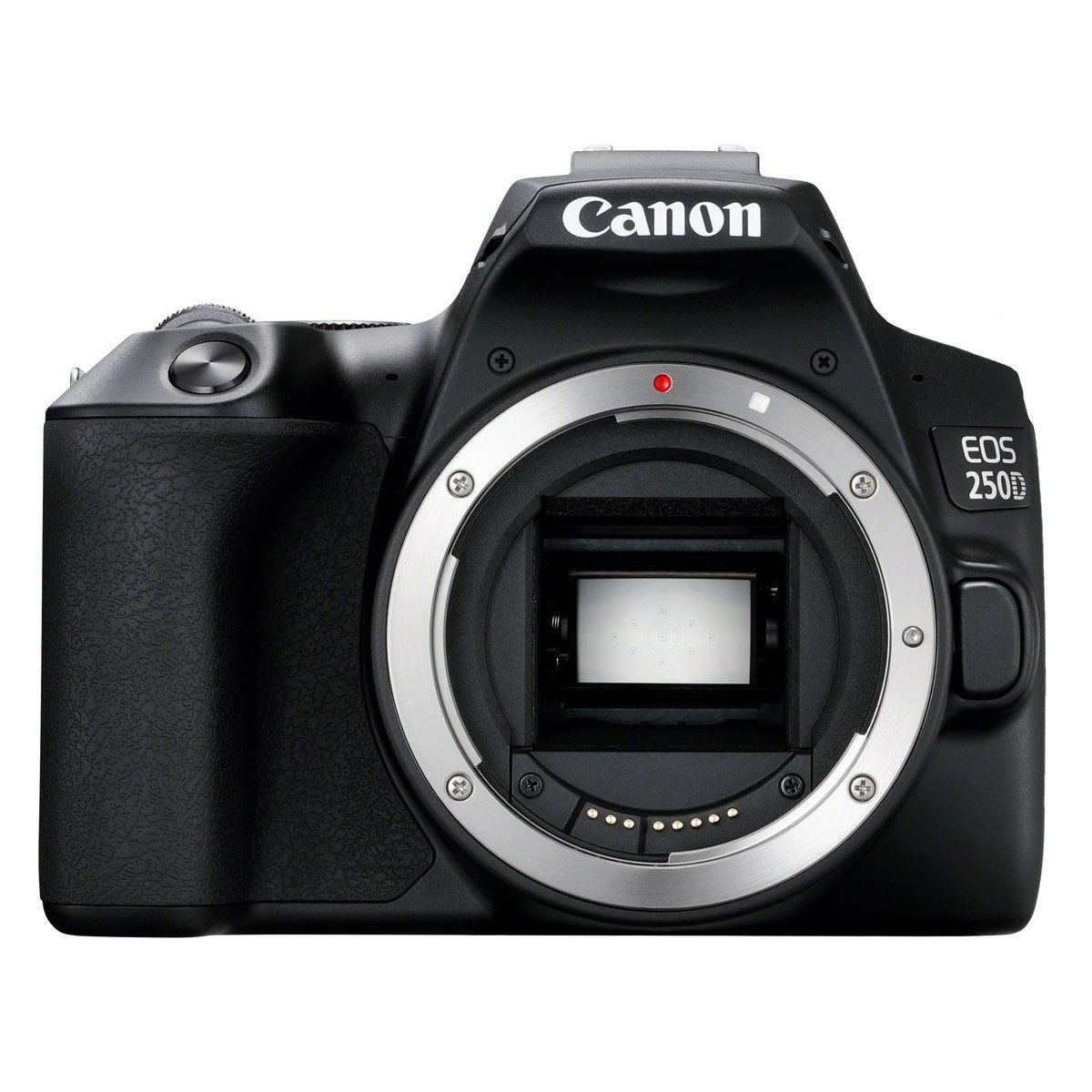 Canon EOS 250D body