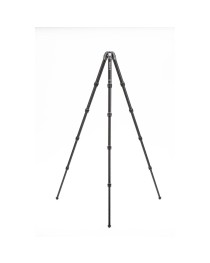 Benro Tortoise Tripod TTOR35C 