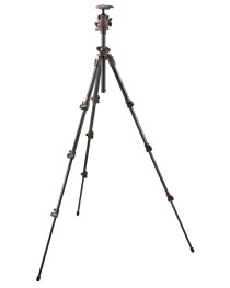 Manfrotto 190CXPRO4 Pro + M0Q2Br