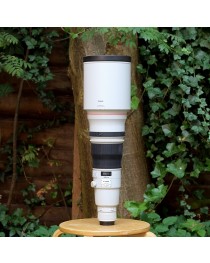 Canon EF 600mm f/4L IS II USM occasion