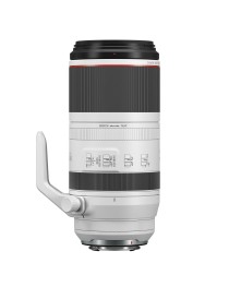 Canon RF 100-500mm f/4.5-7.1L IS USM