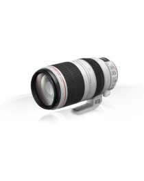 Canon EF 100-400mm f/4.5-5.6L IS II USM